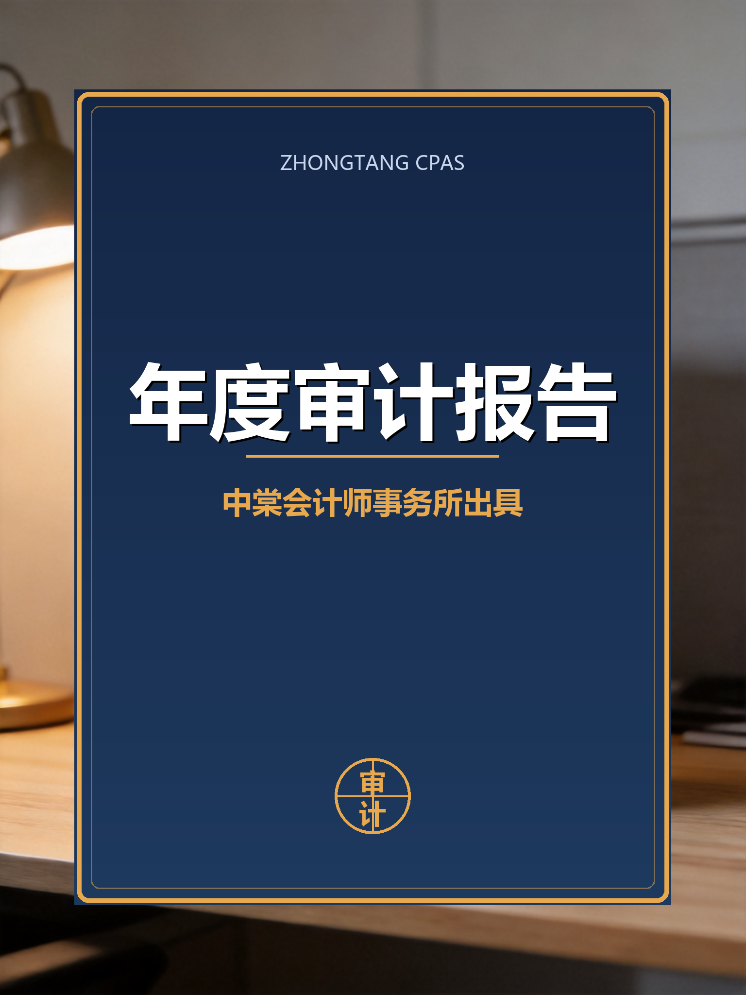 年度审计报告